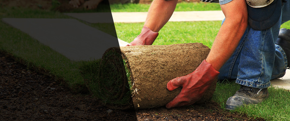 West Berlin Landscapers